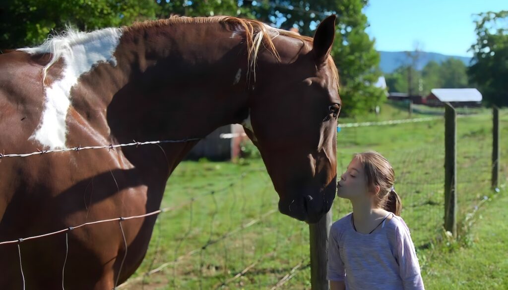 Young girl gently kissing a horse over a fence in a sunny pasture, showing love and connection.